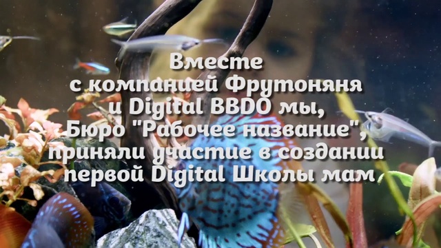 Video Reference: Organism, Adaptation, Photo caption