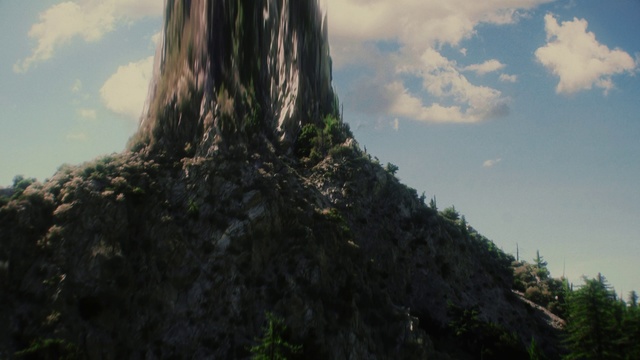 Video Reference: Tree, Nature, Vegetation, Sky, Woody plant, Trunk, Plant, Landscape, Jungle, World