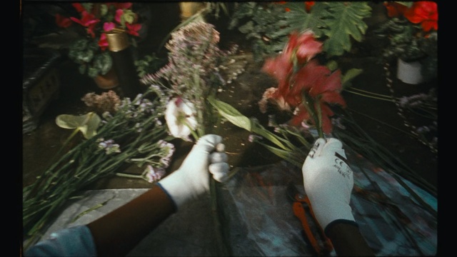 Video Reference: Flower, Bouquet, Plant, Floristry, Flower Arranging, Floral design, Cut flowers, Still life, Anthurium, Art