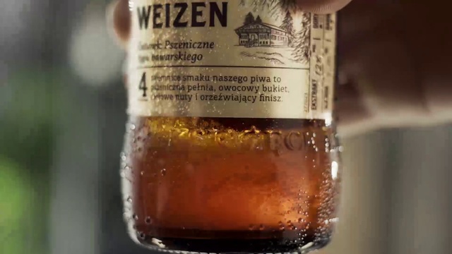 Video Reference: Drink, Alcoholic beverage, Alcohol, Distilled beverage, Beer, Liqueur, Bottle, Lager, Beer glass, Glass bottle