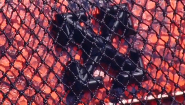 Video Reference: Red, Net, Chain-link fencing, Mesh, Wire fencing, Fictional character, Metal