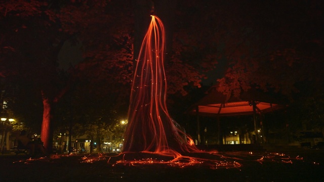 Video Reference: Red, Night, Light, Landmark, Sky, Lighting, Tree, Water, Geological phenomenon, Darkness