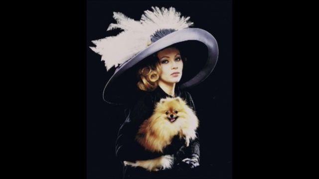 Video Reference: Pomeranian, Lady, Fur, Spitz, Portrait, Hat, Headgear, Canidae, Smile, Photography, Person