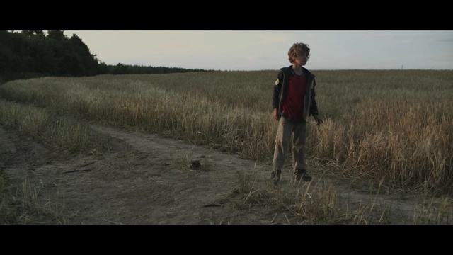 Video Reference: ecosystem, sky, grass, grassland, field, grass family, prairie, screenshot, steppe, ecoregion, Person