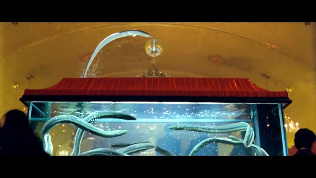 Video Reference: Automotive lighting, Automotive exterior, Glass