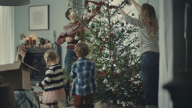 Video Reference: Tree, Christmas tree, Christmas, Room, Woody plant, Christmas eve, Branch, Home, Adaptation, Window, Person