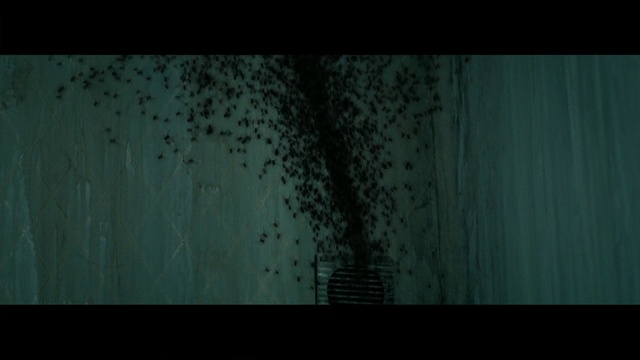 Video Reference: Green, Black, Darkness, Turquoise, Water, Organism, Tree, Fiction