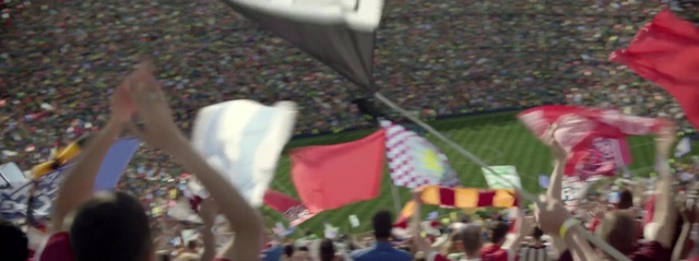 Video Reference: Crowd, Event, Festival, Flag
