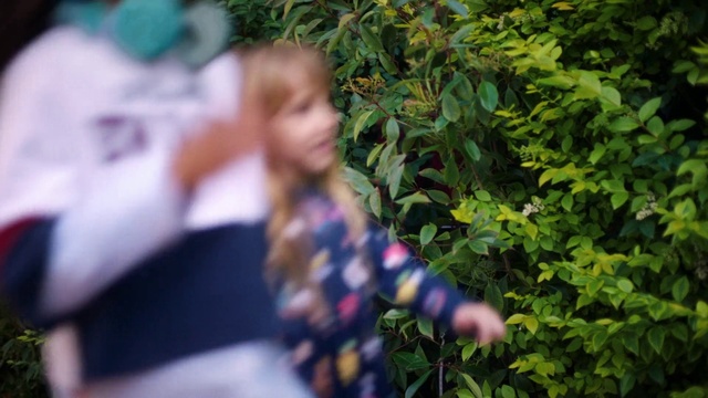 Video Reference: Leaf, Botany, Tree, Grass, Spring, Plant, Fun, Hand, Photography, Flower
