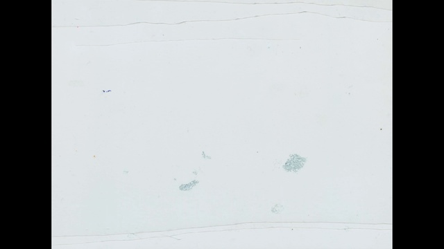 Video Reference: Text, Line, Sky, Drawing, Paper, Paper product, Square, Rectangle, Visual arts, Illustration