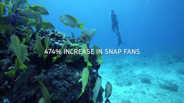 Video Reference: Underwater, Marine biology, Coral reef, Natural environment, Reef, Fish, Organism, Fish, Coral reef fish, Ocean