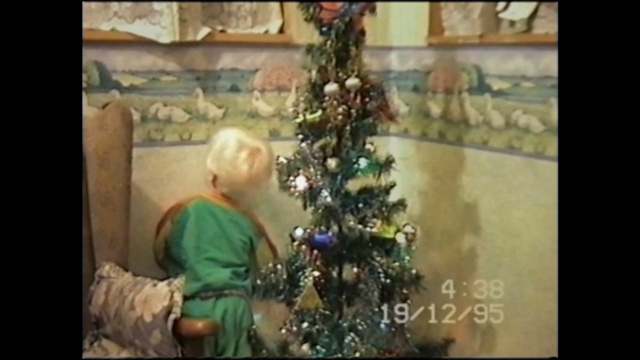 Video Reference: christmas decoration, christmas tree, christmas ornament, christmas, tree, decor, Person