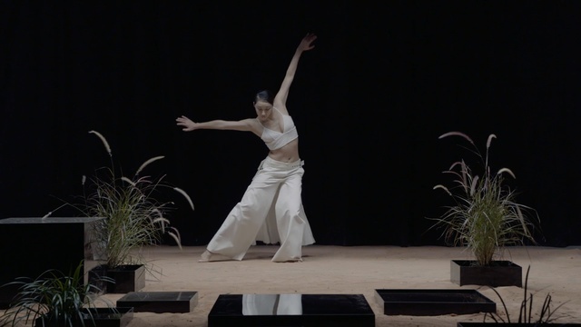 Video Reference: performing arts, entertainment, performance, dancer, performance art, event, dance, choreography, modern dance, stage