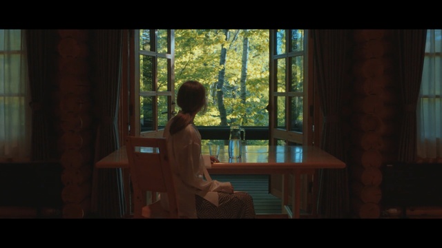 Video Reference: screenshot, snapshot, darkness, sunlight, scene, girl, window, tree, midnight, Person