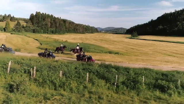 Video Reference: Grassland, Pasture, Natural environment, Ranch, Meadow, Rural area, Prairie, Plain, Grass, Steppe