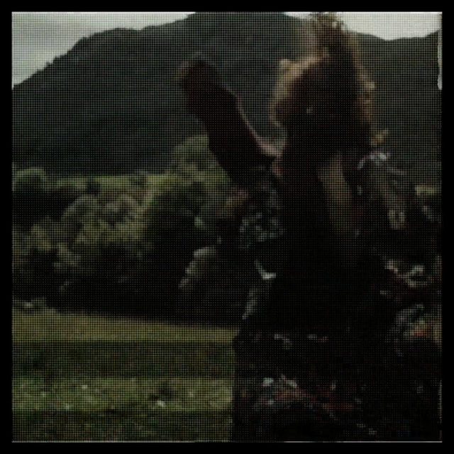 Video Reference: black, green, text, light, pattern, darkness, photography, net, design, square, Person