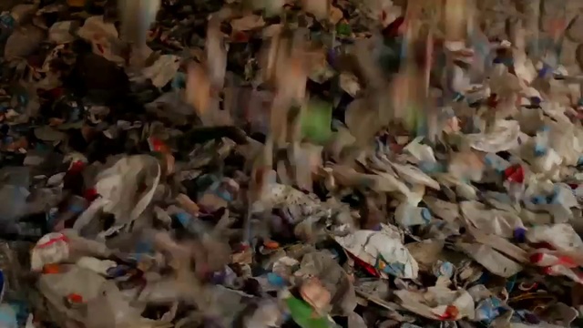 Video Reference: Waste, People, Crowd, Plastic, Leaf, Litter, Recycling, Scrap