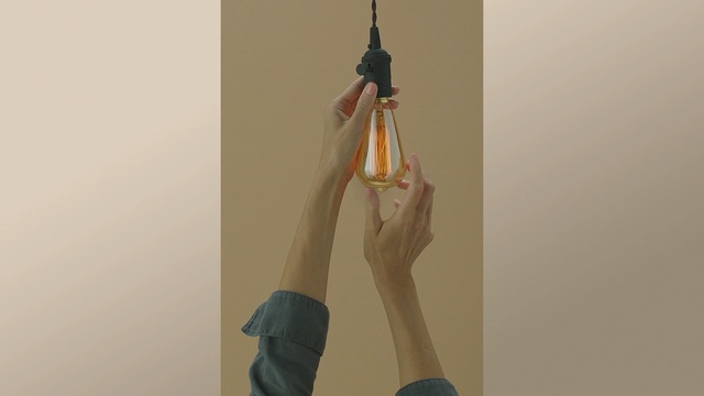 Video Reference: harness, support