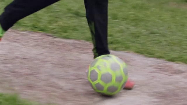Video Reference: Ball, Soccer ball, Football, Grass, Sports equipment, Plant, Soccer