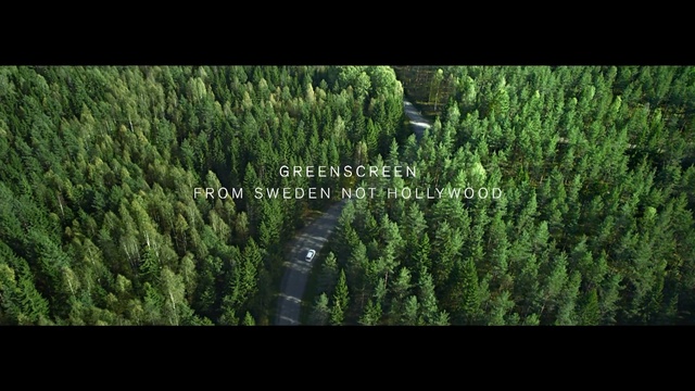 Video Reference: Tree, Vegetation, Nature, Biome, Plant, Forest, Woody plant, Tropical and subtropical coniferous forests, thuya, Evergreen