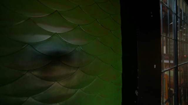 Video Reference: Green, Wall, Leaf, Architecture, Light, Yellow, Pattern, Ceiling, Line, Design