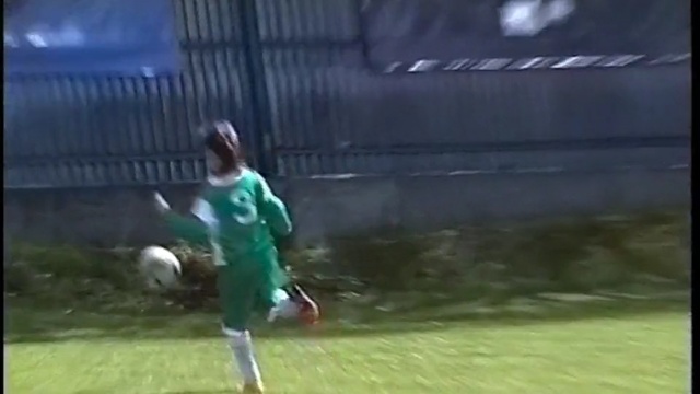 Video Reference: player, green, football player, grass, games, sports equipment, ball, sport venue, sports, net