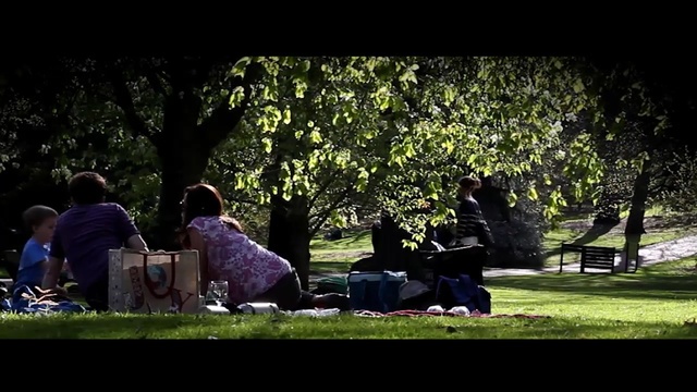 Video Reference: plant, green, tree, nature, photograph, woody plant, grass, vertebrate, sitting, photography