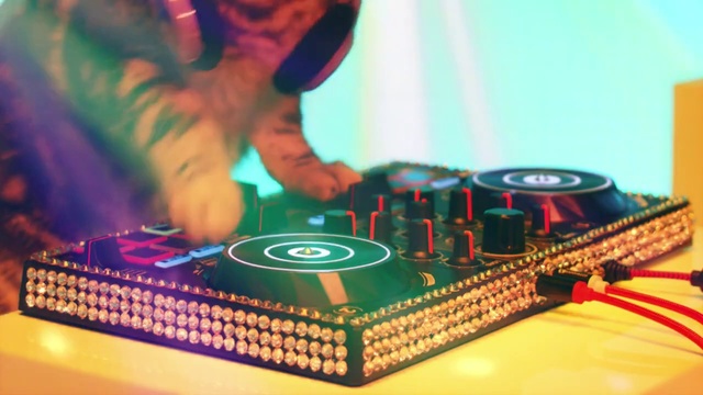 Video Reference: Electronics, Technology, Deejay, Disc jockey, Record player, Games