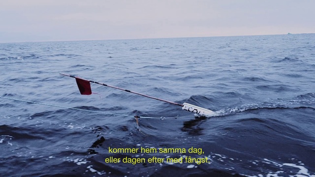 Video Reference: Water, Sky, Horizon, Watercraft, Recreation, Wind, Wind wave, Vehicle, Ocean, Liquid