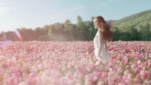 Video Reference: Flower, Plant, Sky, People in nature, Dog, Petal, Grass, Agriculture, Tree, Carnivore