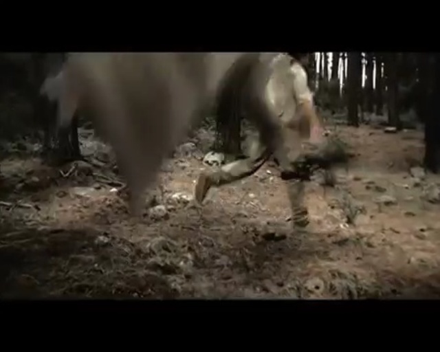 Video Reference: Rhinoceros, Mammal, Wildlife, Elephant, Elephants and Mammoths, Terrestrial animal, Snout, Tree
