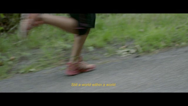 Video Reference: Human leg, Leg, Grass, Barefoot, Footwear, Hand, Foot, Walking, Recreation, Shoe