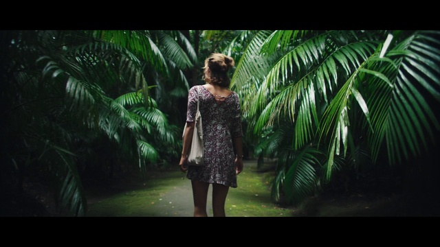 Video Reference: Nature, Tree, Green, Natural environment, Palm tree, Vegetation, Arecales, Jungle, Woody plant, Plant