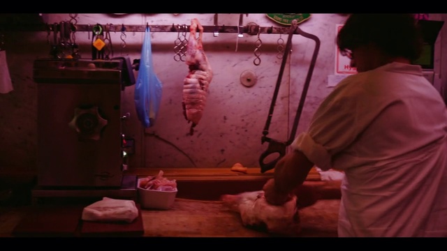 Video Reference: Human, Organism, Human body, Fun, Mouth, Flesh, Freshwater aquarium, Art, Photography