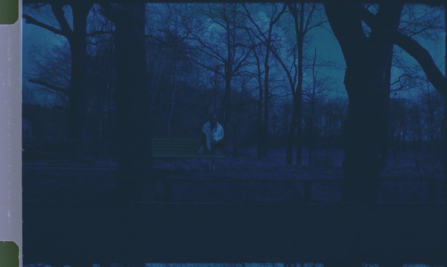 Video Reference: blue, atmosphere, ecosystem, darkness, screenshot, sky, snapshot, tree, morning, biome, Person