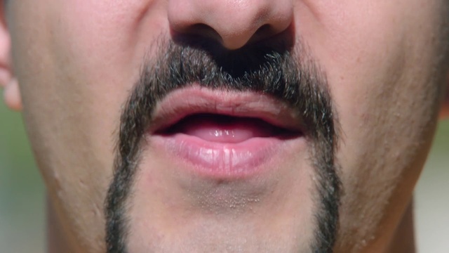 Video Reference: Facial hair, Hair, Face, Beard, Lip, Moustache, Nose, Chin, Cheek, Skin