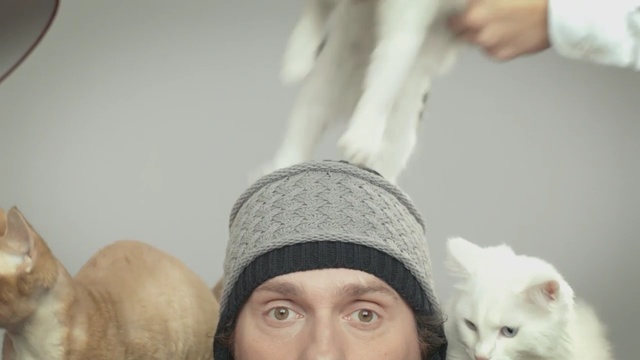 Video Reference: White, Head, Nose, Selfie, Forehead, Cat, Photography, Felidae, Fur, Temple