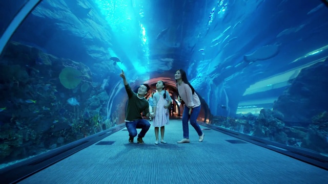 Video Reference: Aquarium, Fun, Leisure, Tourism, Glacial landform, World, Photography, Underwater, Marine biology, Vacation