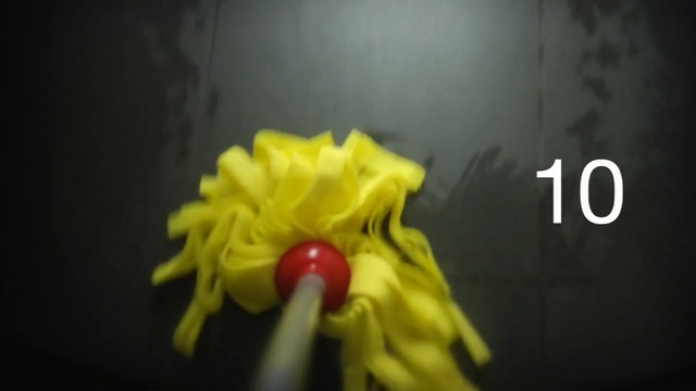 Video Reference: Yellow, Red, Flower, Plant, Photography, Still life photography