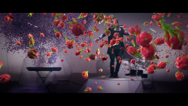 Video Reference: Red, Pink, Petal, Art, Modern art, Organism, Flower, Plant, Tree, Photography, Person