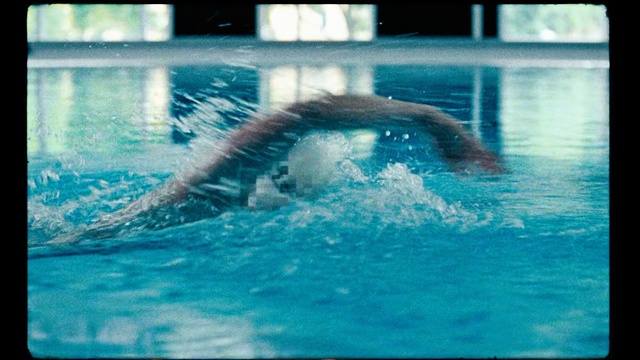 Video Reference: Water, Swimming, Swimmer, Swimming pool, Recreation, Freestyle swimming, Leisure, Individual sports, Leisure centre, World, Window, Riding, Man, Wave, Large, Bird, Small, Ocean, Monitor, Game, Surfing, Young, White, Board, Yellow, Blue, Standing, Cat, Blurry, Pool, Marine mammal, Sport, Dolphin