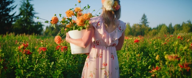Video Reference: flower, wildflower, field, spring, plant, meadow, grass, flowering plant, girl, summer