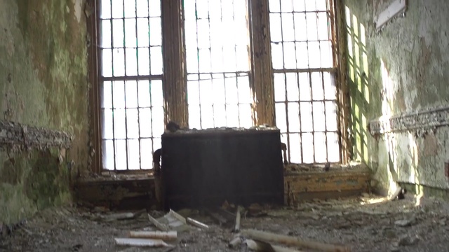 Video Reference: window, tree