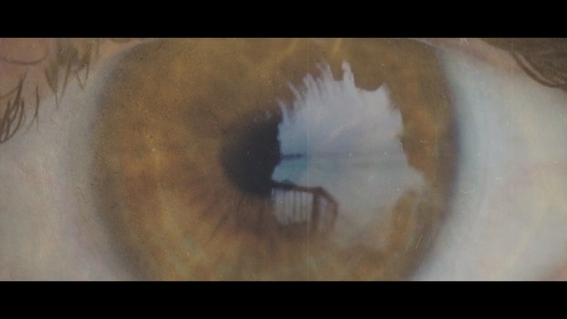 Video Reference: Iris, Eye, Close-up, Eyelash, Organ, Brown, Photography, Circle, Art