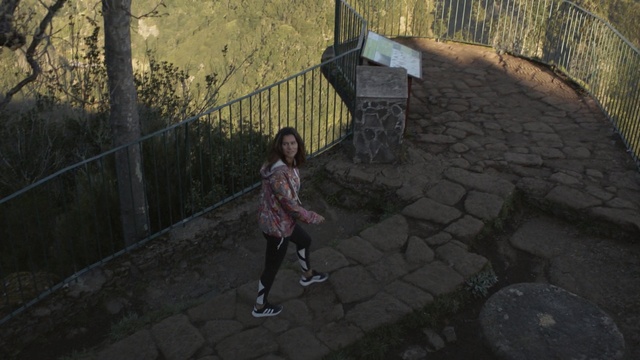 Video Reference: Photograph, Pc game, Wall, Tree, Screenshot, Snapshot, Biome, Photography, Digital compositing, Plant