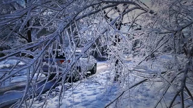Video Reference: winter, snow, frost, branch, freezing, tree, sky, woodland, geological phenomenon, ice