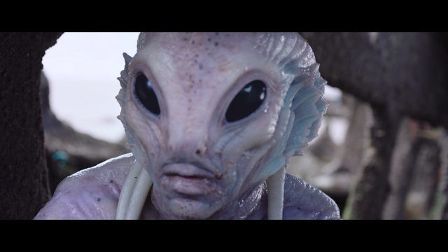 Video Reference: disguise, attire, mask, covering, clothing, consumer goods, face