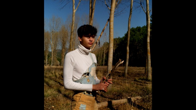 Video Reference: tree, nature, photograph, woody plant, plant, sky, male, photography, fun, grass, Person