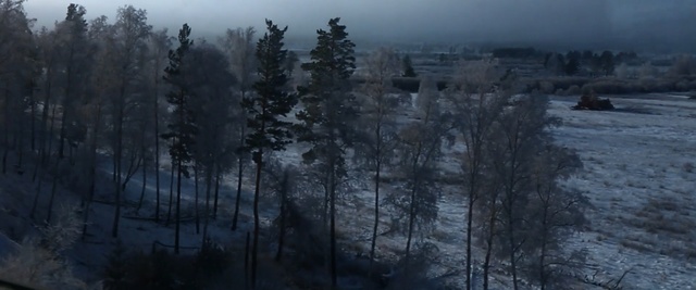 Video Reference: Nature, Atmospheric phenomenon, Tree, Fog, Forest, Winter, Natural environment, Wilderness, Freezing, Snow