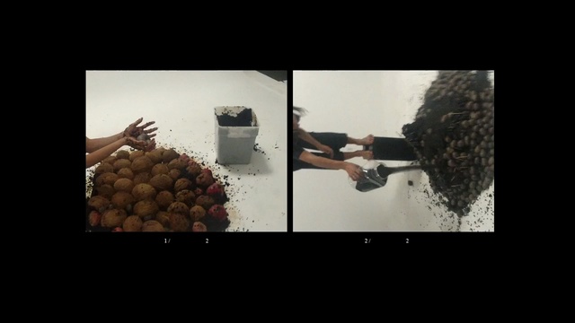 Video Reference: screenshot, organism, font, still life photography
